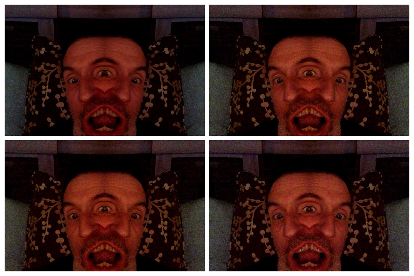 2016 05 20 Self-Portrait - Lord of Noiselandia (4x4)